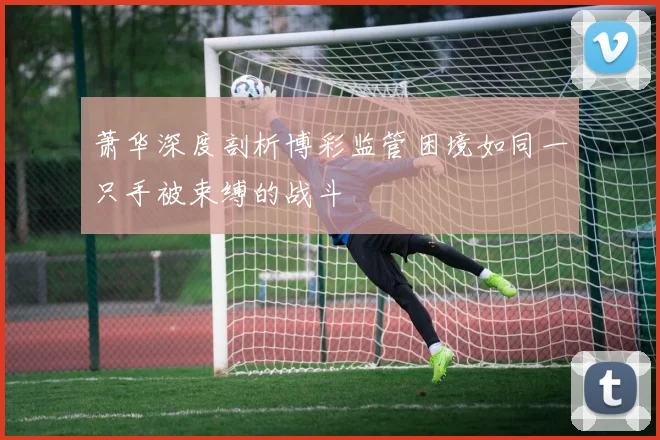萧华深度剖析博彩监管困境如同一只手被束缚的战斗