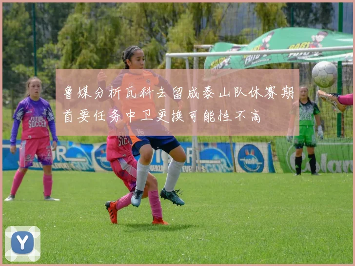 鲁媒分析瓦科去留成泰山队休赛期首要任务中卫更换可能性不高