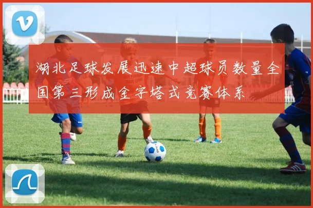 湖北足球发展迅速中超球员数量全国第三形成金字塔式竞赛体系
