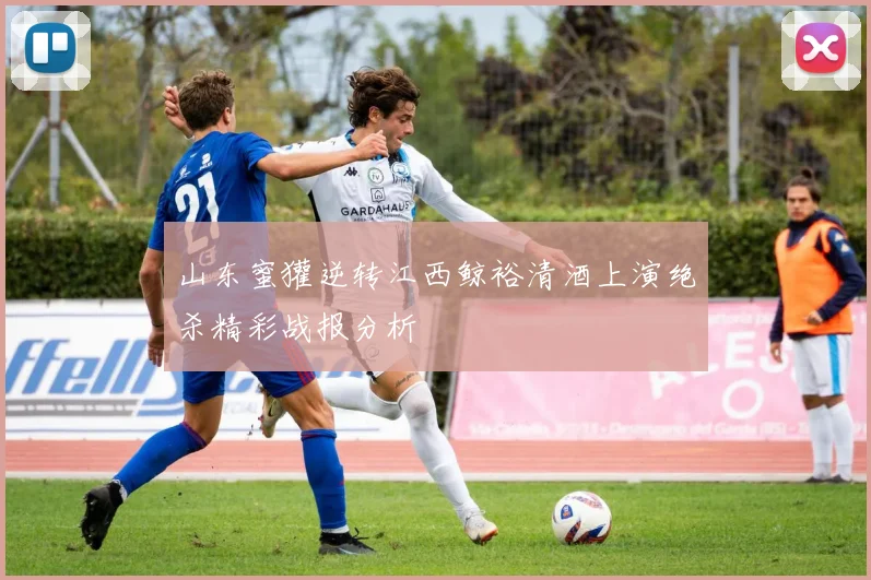 山东蜜獾逆转江西鲸裕清酒上演绝杀精彩战报分析