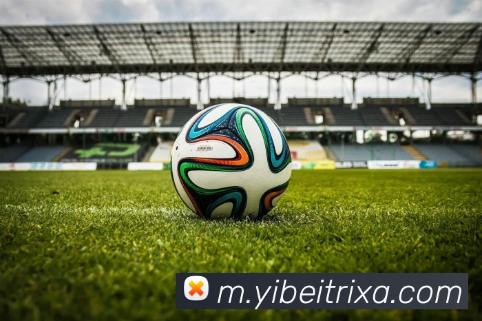 易倍体育服务体系